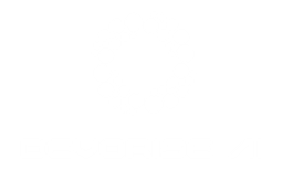 Devorise AI Logo